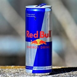 RED BULL 0,25L REGULAR 24X25CL CAN